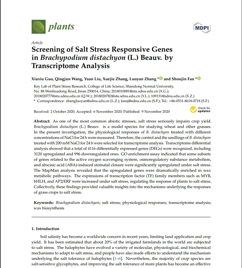 stress, salt, genes,transcriptome,expression analysis introduction for article