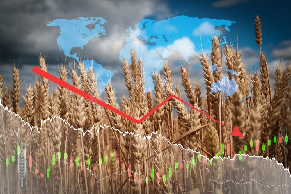 Rising concerns: Climate change’s impact on global food security food security.,Climate change, humanity,