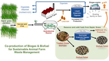 Sustainable valorization of grass biomass via hydrothermal pretreatment for biogas and biofuel co-production Grass-based waste management,potential for sustainabl,Mass balance