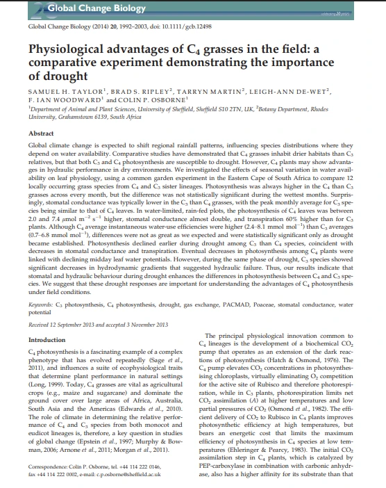 Global climate change,Global climate change,C3 and C4 photosynthesis, C4 plants